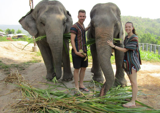 Phuket Elephant Jungle Sanctuary