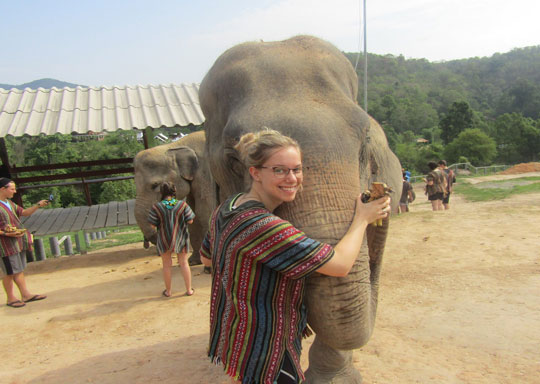 Phuket Elephant Jungle Sanctuary