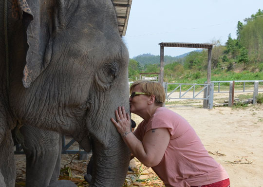 Phuket Elephant Jungle Sanctuary