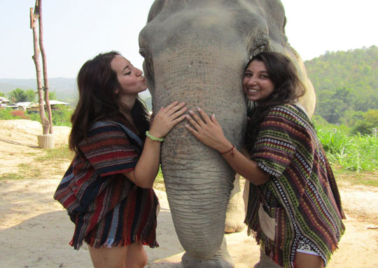 Phuket Elephant Jungle Sanctuary