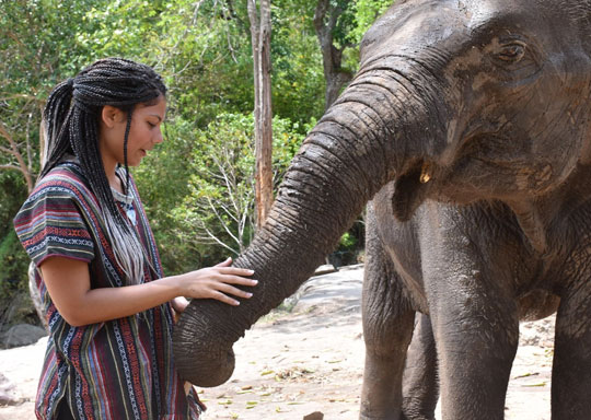 Phuket Elephant Jungle Sanctuary