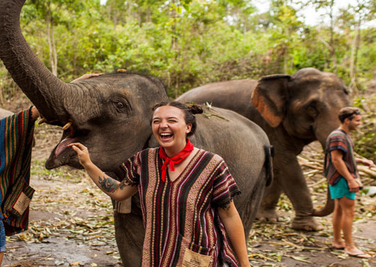 Phuket Elephant Jungle Sanctuary